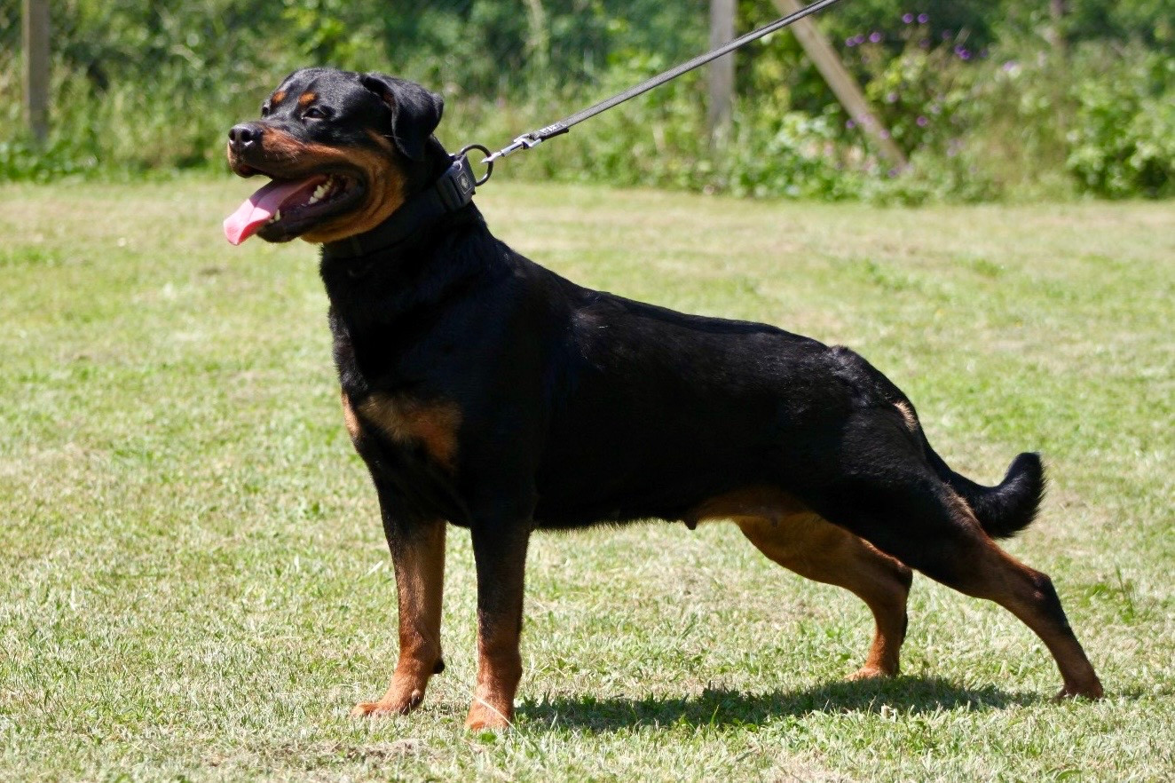 Nouvelle portée attendue pour le 26/10/2025 !